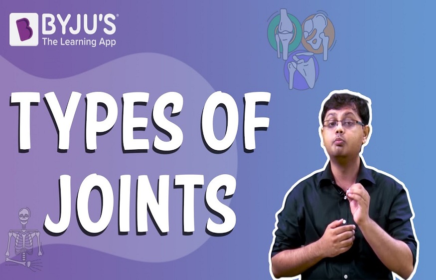 A BRIEF ON THE JOINTS IN OUR BODY