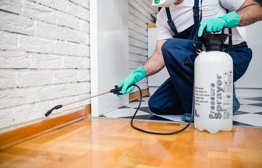 365 Pest Control