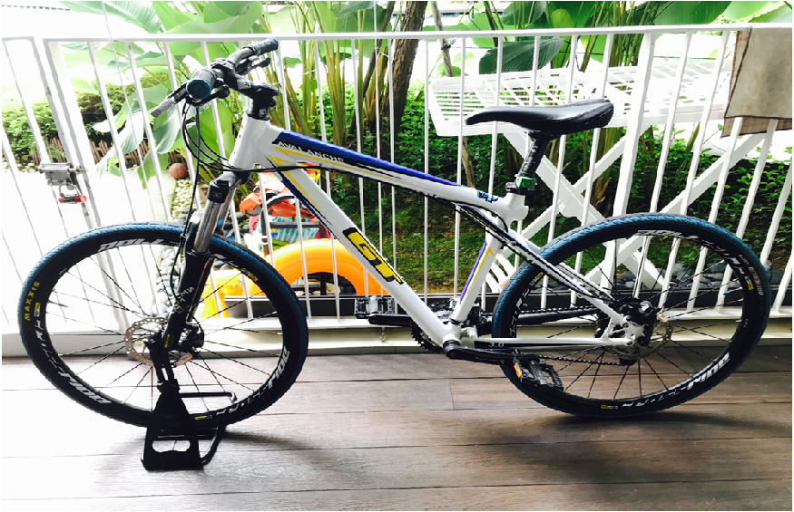 The Best Bicycle