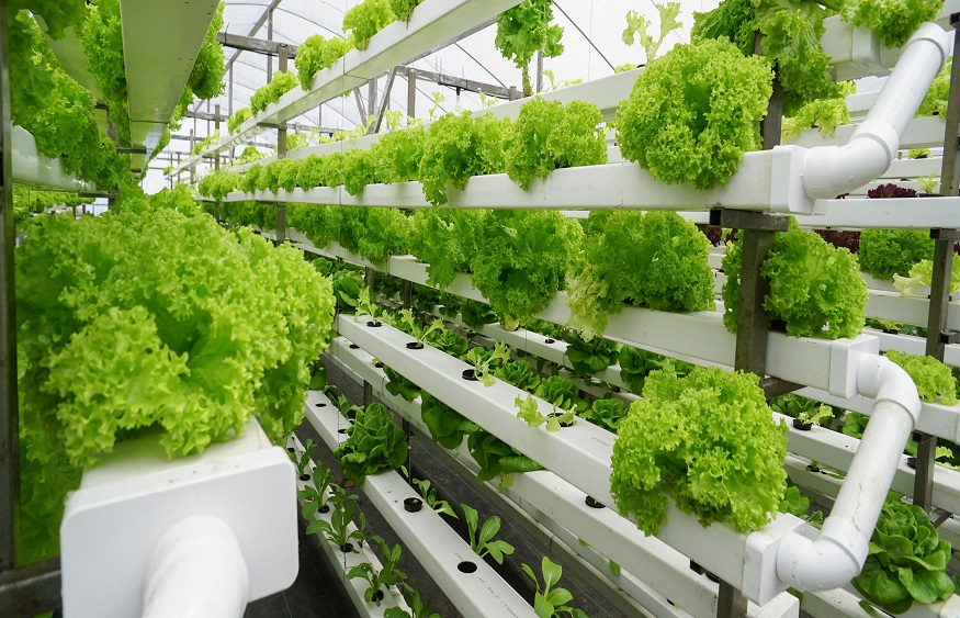 Farming Systems