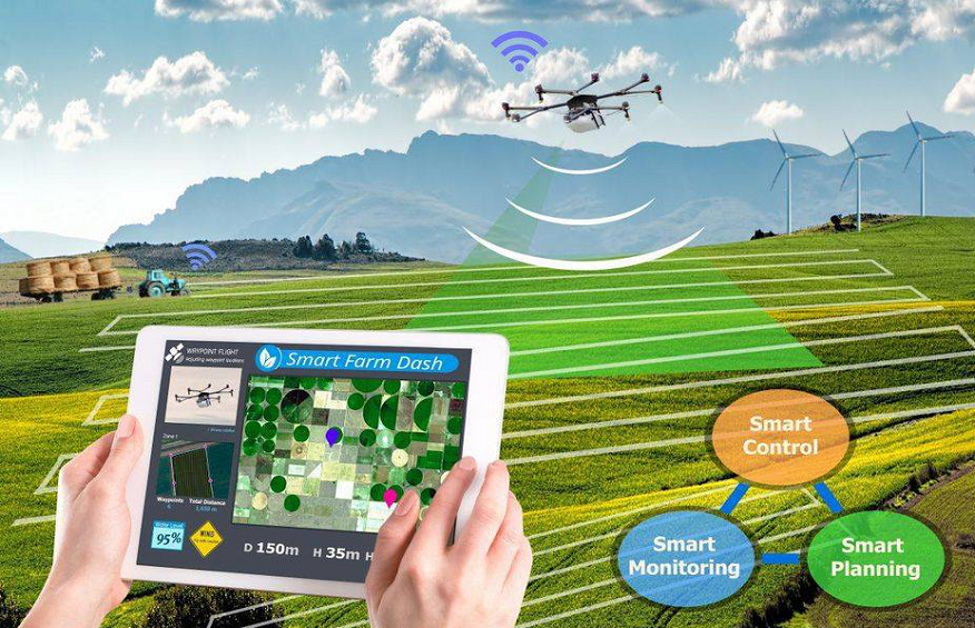 Digitalization in Agriculture